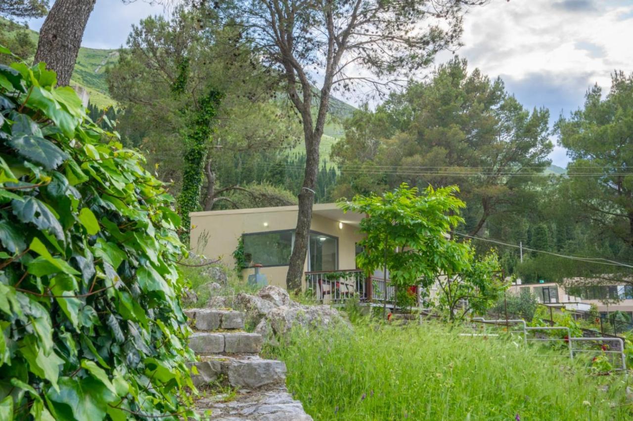 Among The Trees Βίλα Široka Εξωτερικό φωτογραφία